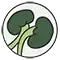 Urology specialist at Perera Urology clinic in Australia.